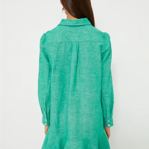 Tuckernuck Green Callahan Button-Up Shirt Dress - Picture 8 of 10